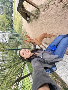 Lets DogWalker/Petsitting/HotelDomiciliar - Viseu - Hundepension