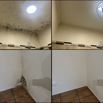FLARIS - Controlo de Humidade | Pintura | Impermeabilização | Limpeza de Estofos - Algarve - Faro - Pintura de Portas