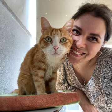 SweetPaws Petsitting - Sesimbra - Dog Walking