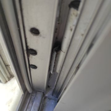 Steel Materials and Gates