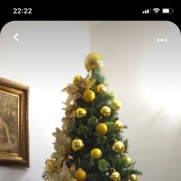 Atelier das Flores - Seixal - Florista para Eventos
