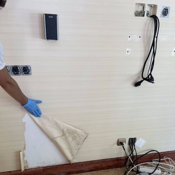 FLARIS - Controlo de Humidade | Pintura | Impermeabilização | Limpeza de Estofos - Algarve - Faro - Limpeza Geral