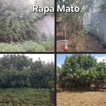 Rapa Mato - limpeza terrenos e matas - Condeixa-a-Nova - Shrub Removal