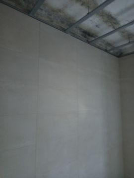 Joao - Sardoal - Pintura Exterior