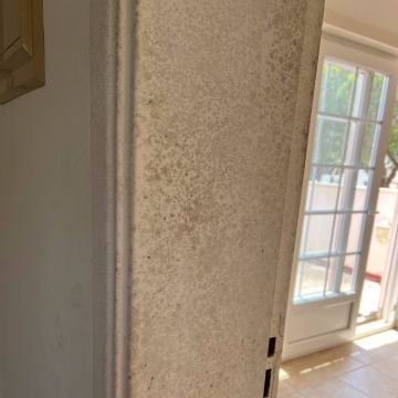FLARIS - Controlo de Humidade | Pintura | Impermeabilização | Limpeza de Estofos - Algarve - Faro - Limpeza de Espaço Comercial