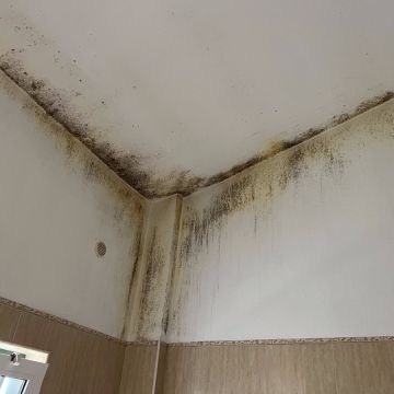 FLARIS - Controlo de Humidade | Pintura | Impermeabilização | Limpeza de Estofos - Algarve - Faro - Pintura
