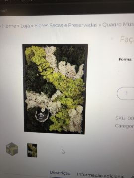 Florista