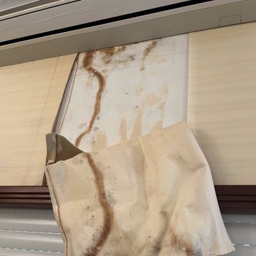 FLARIS - Controlo de Humidade | Pintura | Impermeabilização | Limpeza de Estofos - Algarve - Faro - Instalação de Papel de Parede