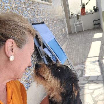 Izoleyde Contezini - babysitting - Ílhavo - Hundeausführung