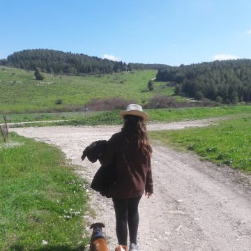 Amanda Pet Sitter & Dog Walker - Vila Nova de Poiares - Dog Walking