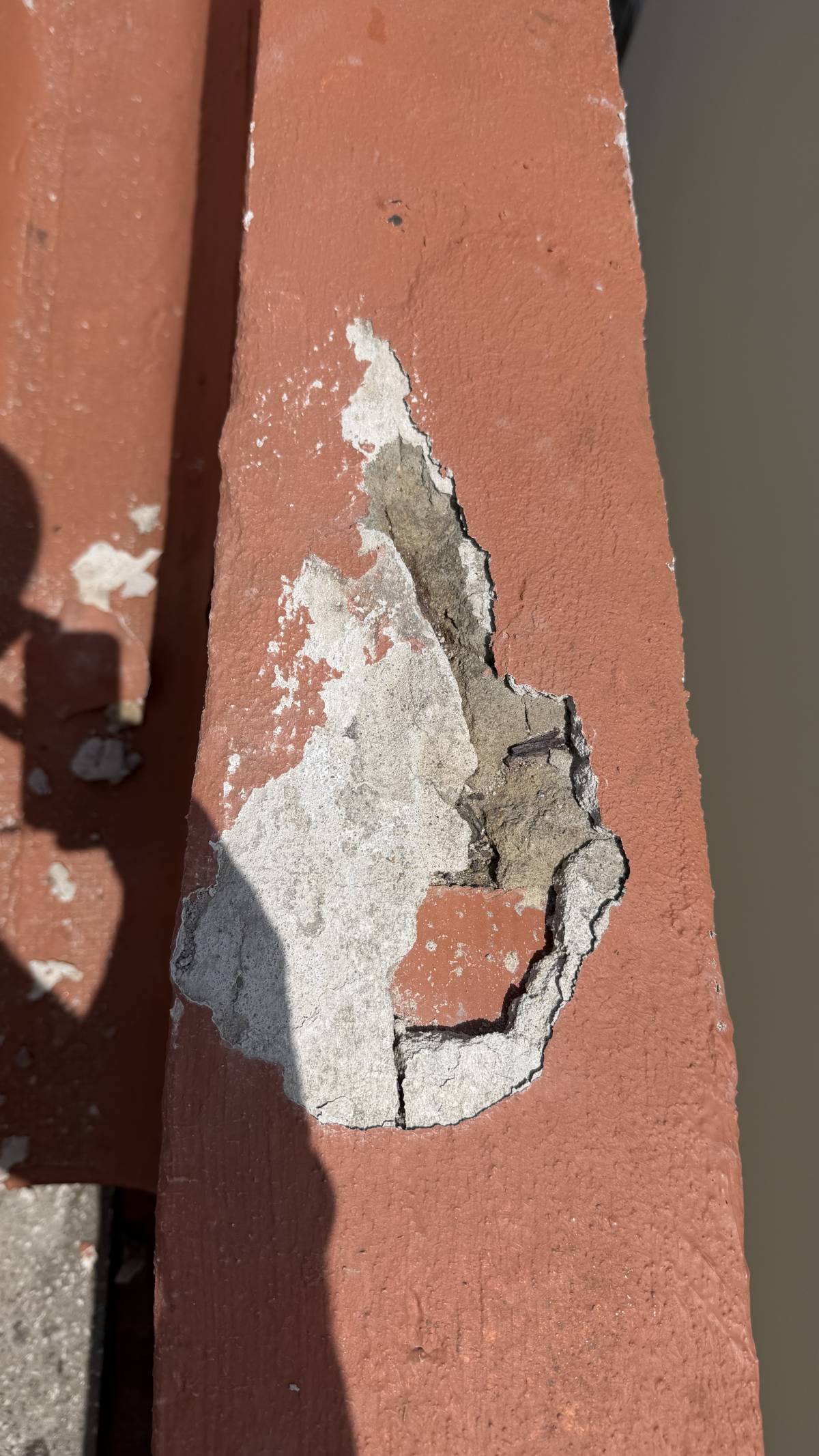 Jaspi Rope Access - Sintra - Mold Inspection and Removal