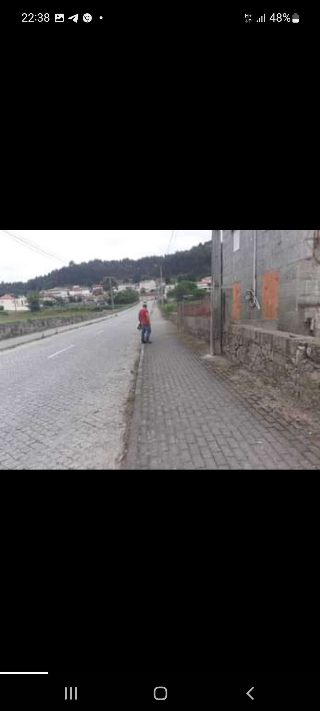 Paulo Silva - Santo Tirso - Tree Trimming and Maintenance