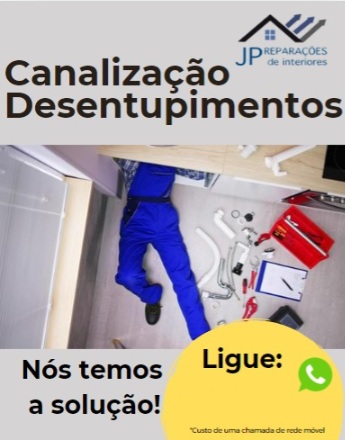 Joao paulo - Vila Franca de Xira - Toilet Repair