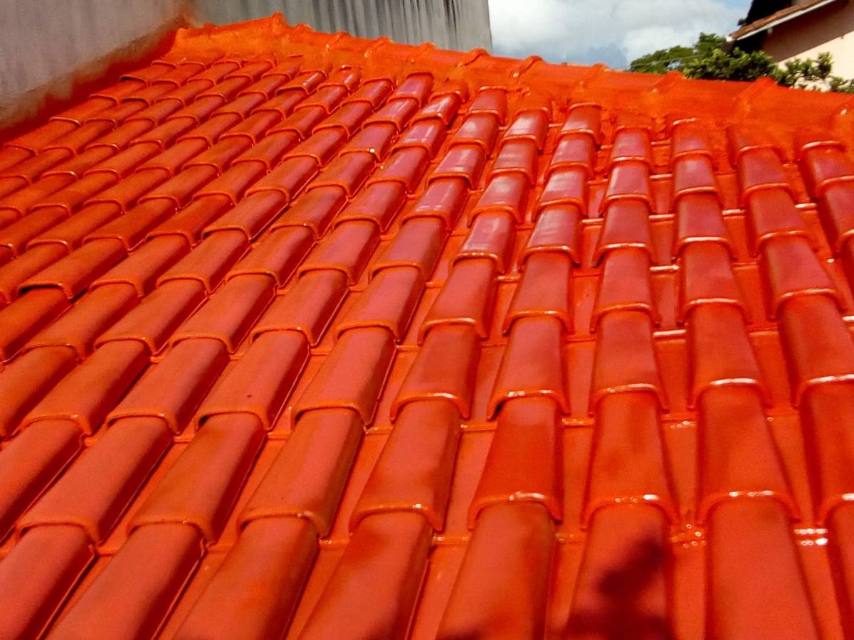 Darlan pinturas - Cartaxo - Pintura de Casas