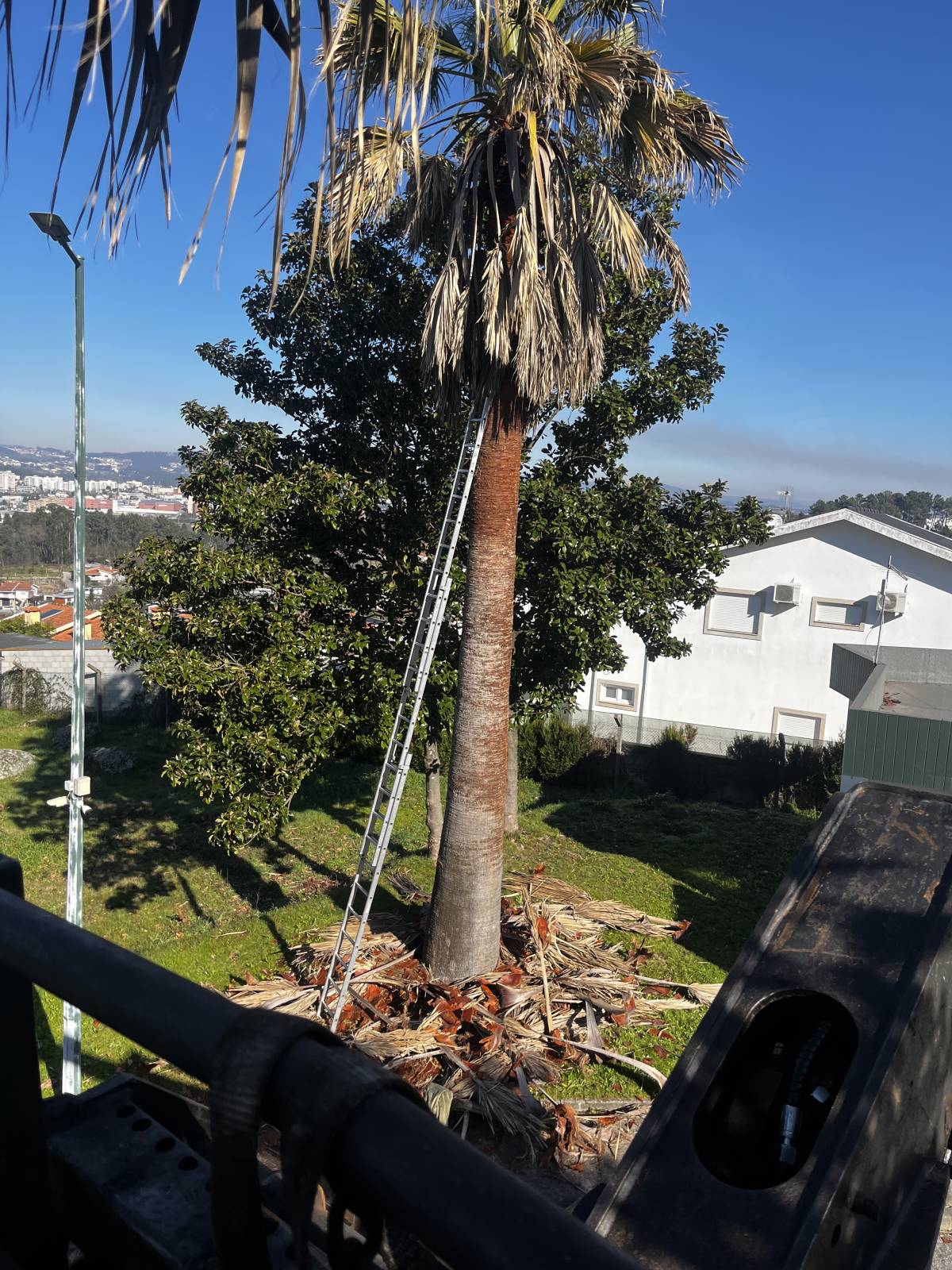 Filipe Vieira Jardim & Bricolage - Penafiel - Weeding