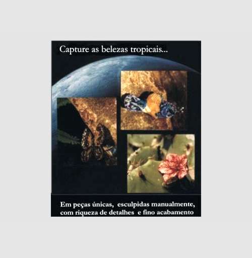 Maria F Graça - Vila Nova de Poiares - Clases de informática