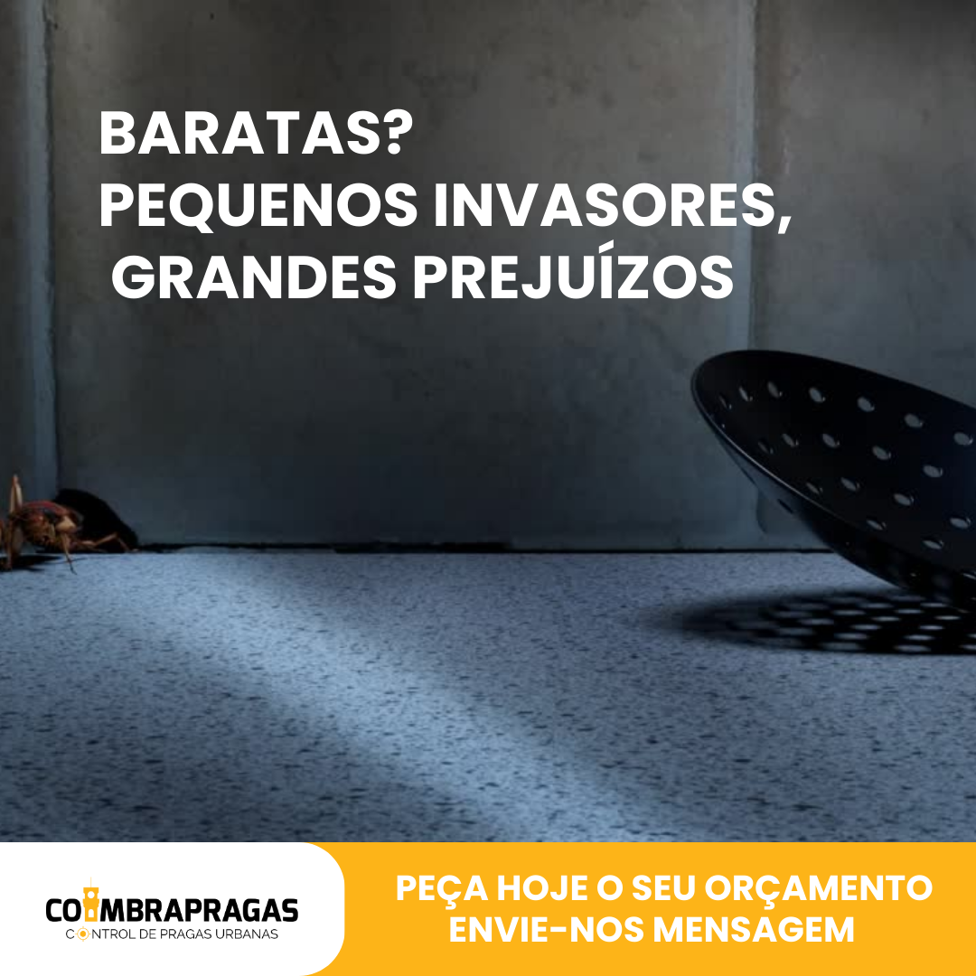 Especialista Marketing Digital - Coimbra - Publicidade