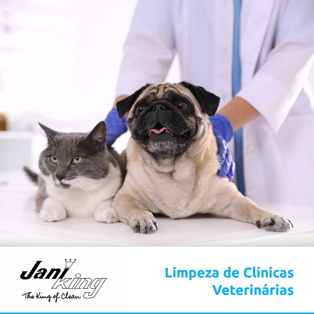 Janiking Serviço de Limpezas - Lisboa - Limpeza Geral
