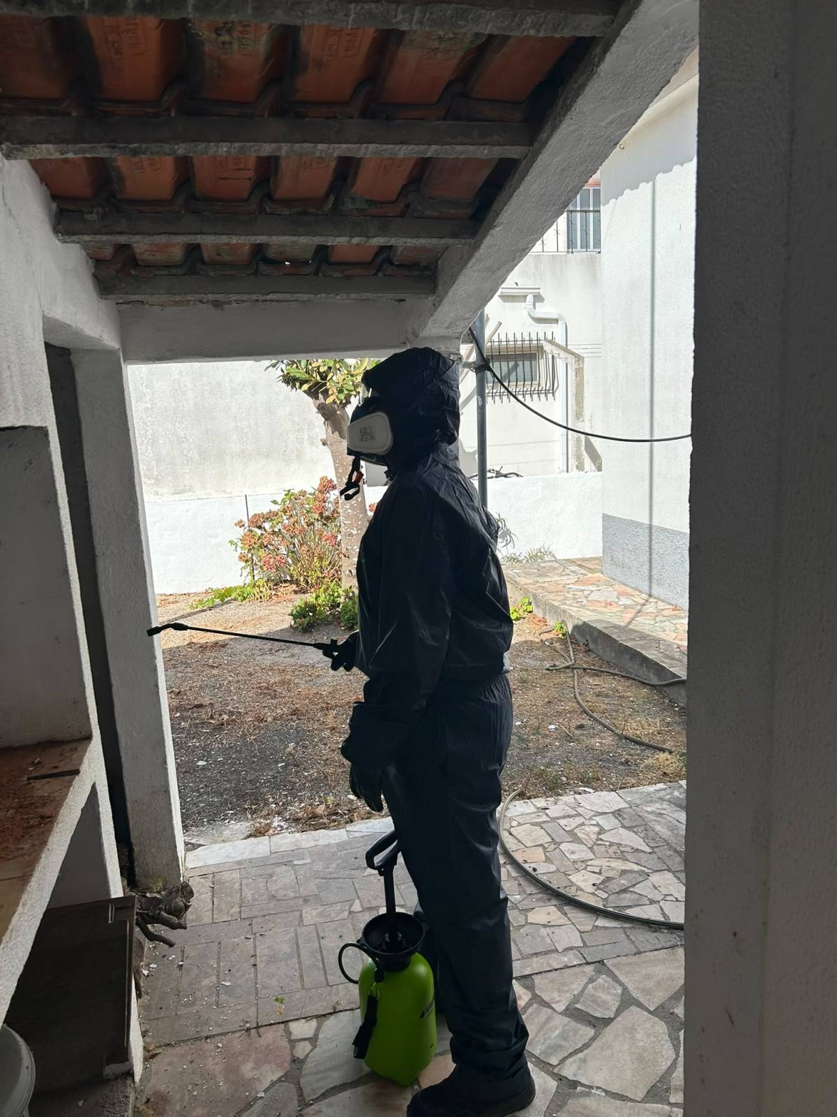 PRAGIS CONTROL - CONTROLO DE PRAGAS URBANAS - Almada - Nettoyage en profondeur