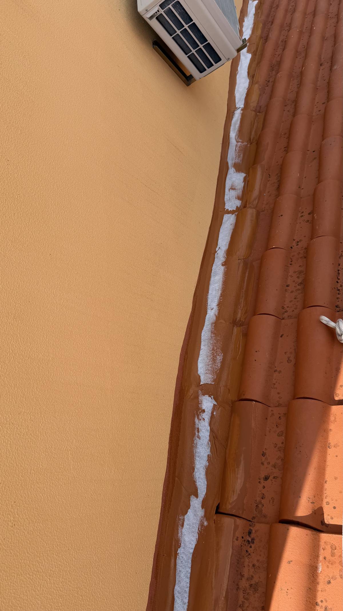 Jaspi Rope Access - Sintra - Cleaning