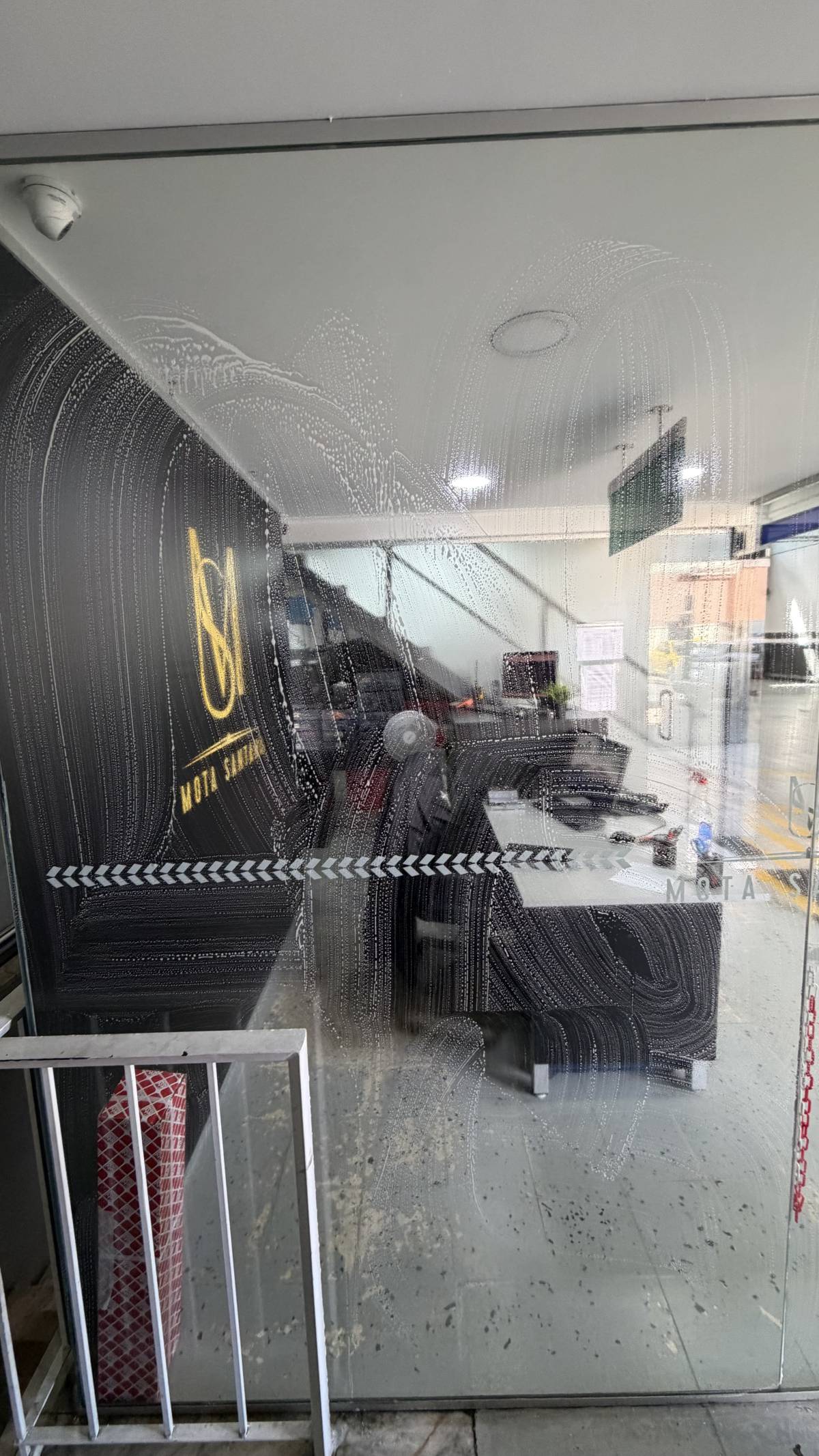 Jaspi Rope Access - Sintra - Mold Inspection and Removal