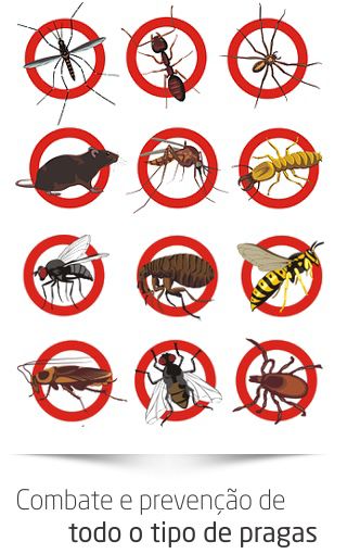 Combat Controle de Pragas - Lisboa - cockroach removal