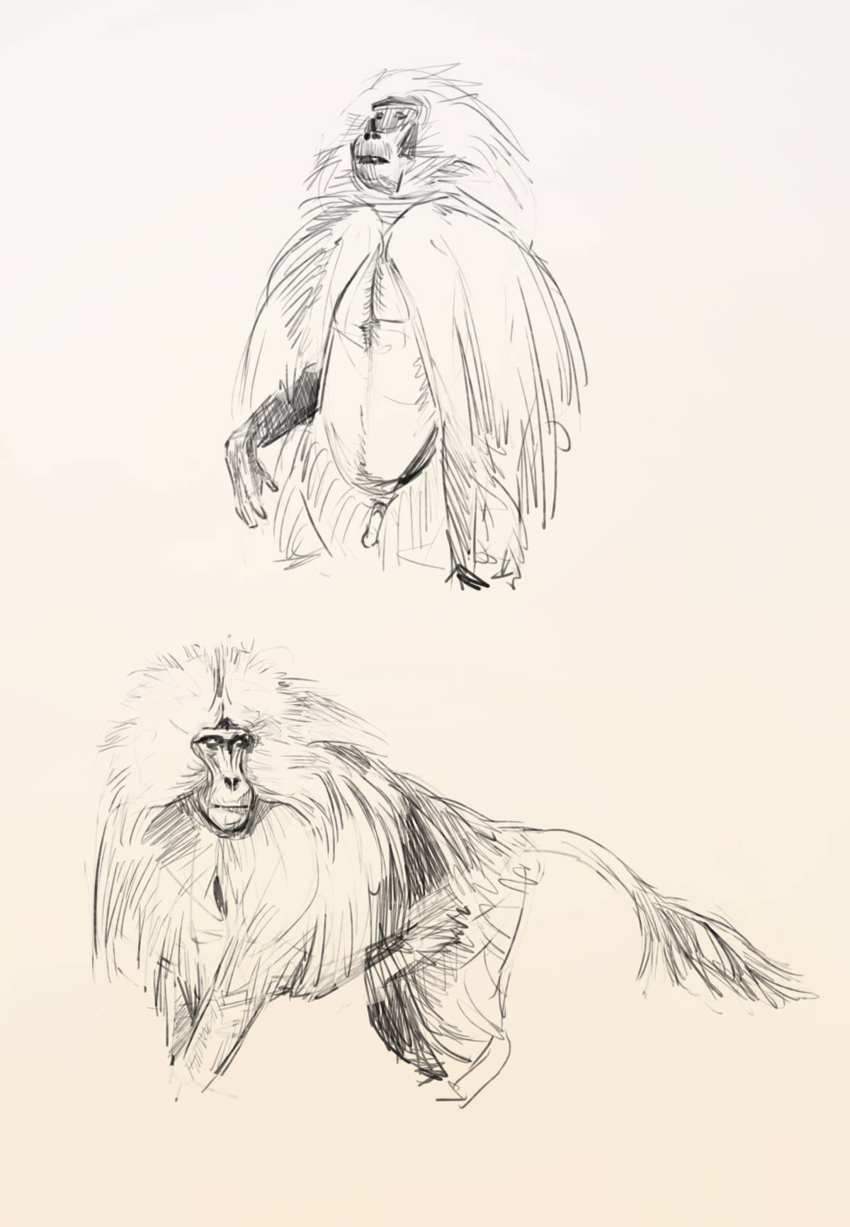 Pedro Leão - Alcobaça - Drawing, Painting and Sculpture classes