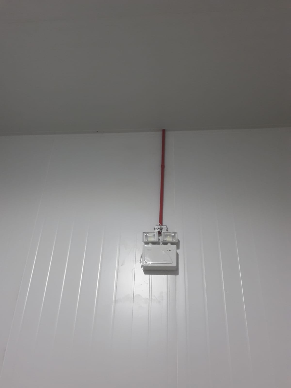 Rafael Silva - Seixal - Electrical and Wiring Issues