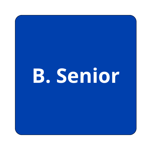 Booking Senior - Lisboa - Apoio Domiciliário