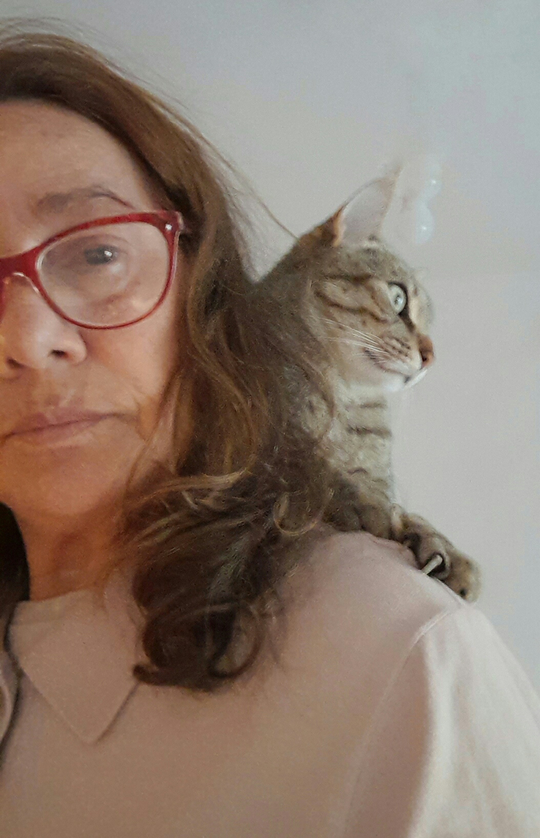Sonia Ribeiro - Cascais - Sessões de Fisioterapia