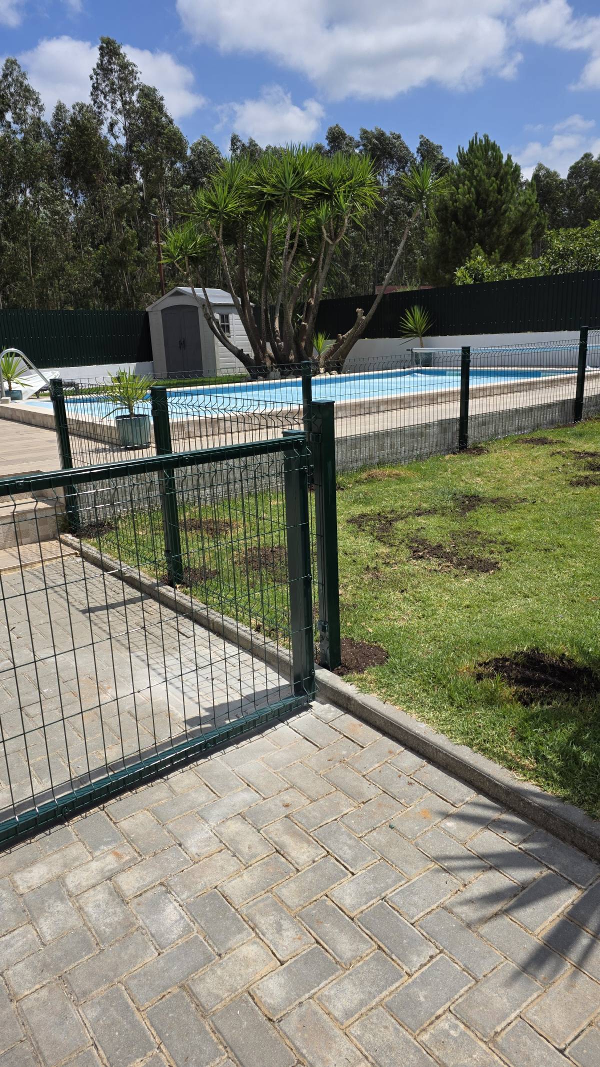 DTec - Reparações & Soluções Domésticas - Porto de Mós - Limpeza de Telhado
