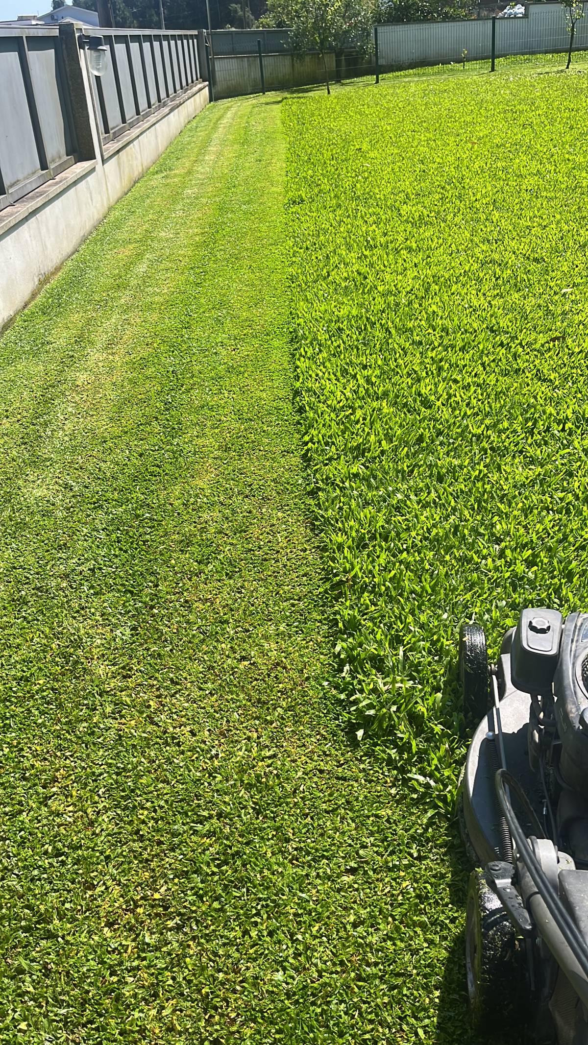 Filipe Vieira Jardim & Bricolage - Penafiel - Lawn Mowing and Trimming