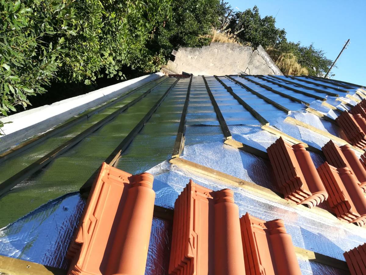 Lopes Soares construtora e remodelação. - Oeiras - Eliminación de arbustos
