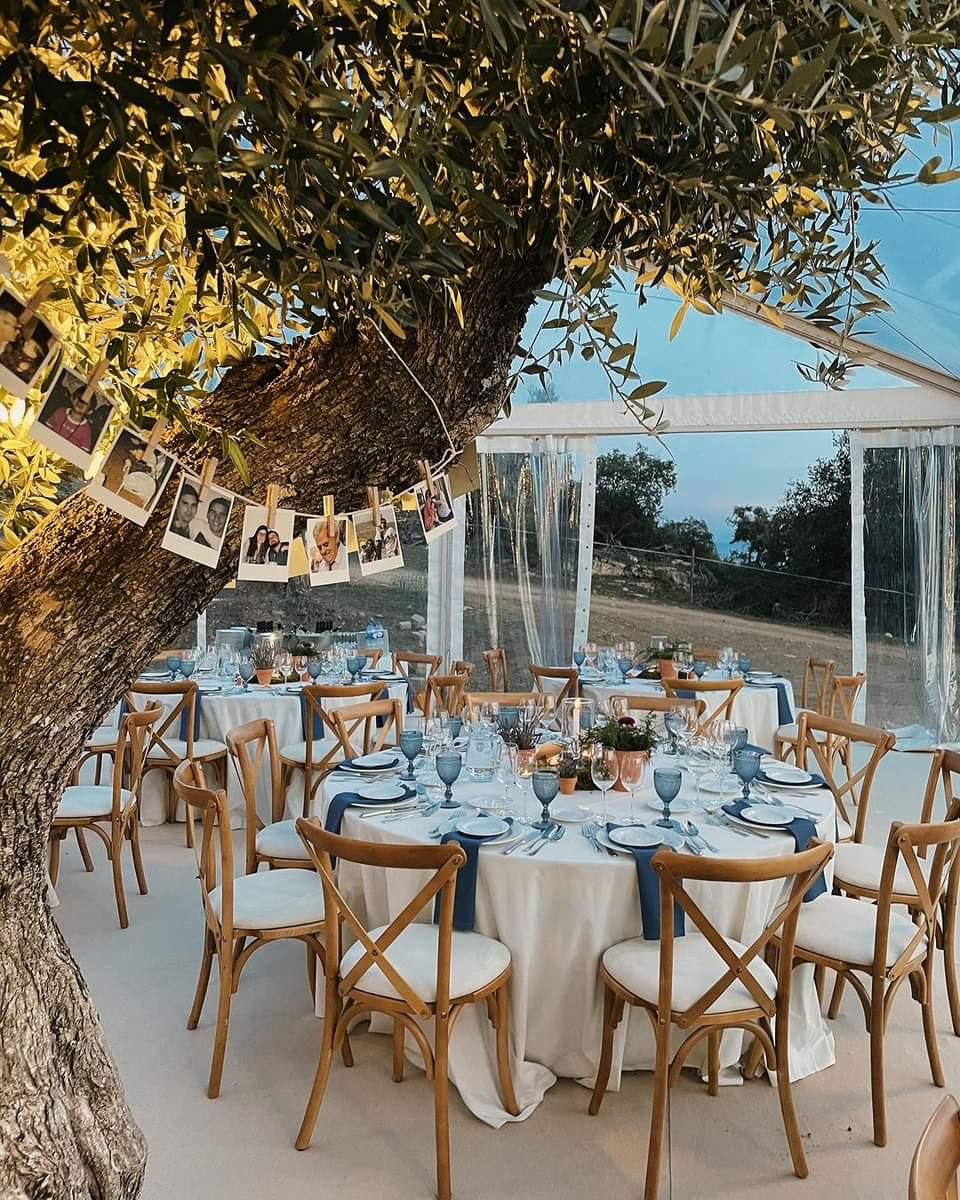Magic Rent - Évora - Decoração de Festas e Eventos