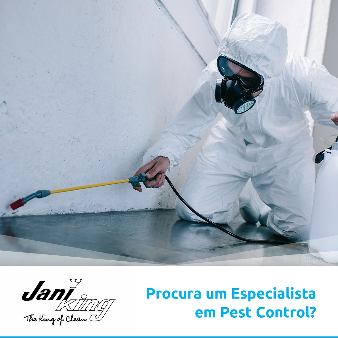 Janiking Serviço de Limpezas - Lisboa - Lavagem à Pressão