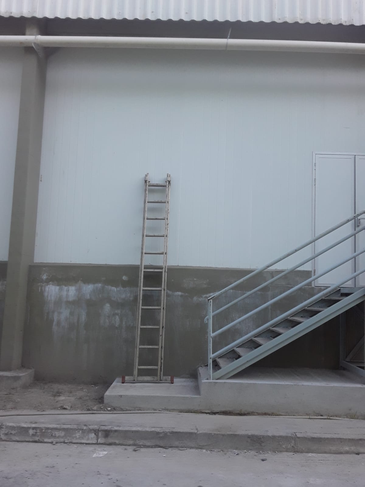 Rafael Silva - Seixal - Deep or Spring Cleaning
