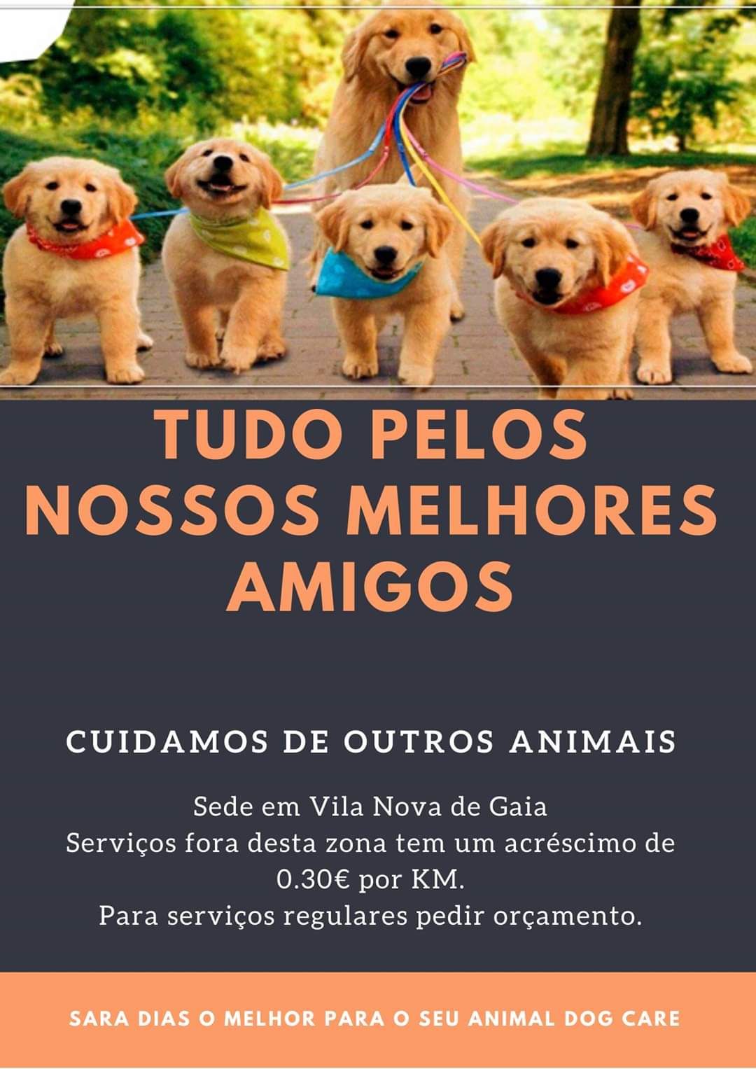 Sara Dias - Vila Nova de Gaia - Creche para Cães