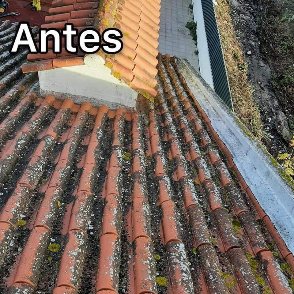DINIZ WORKTEC SERVICOS ESPECIALIZADOS EM ALTUTA - Setúbal - Carpet Installation