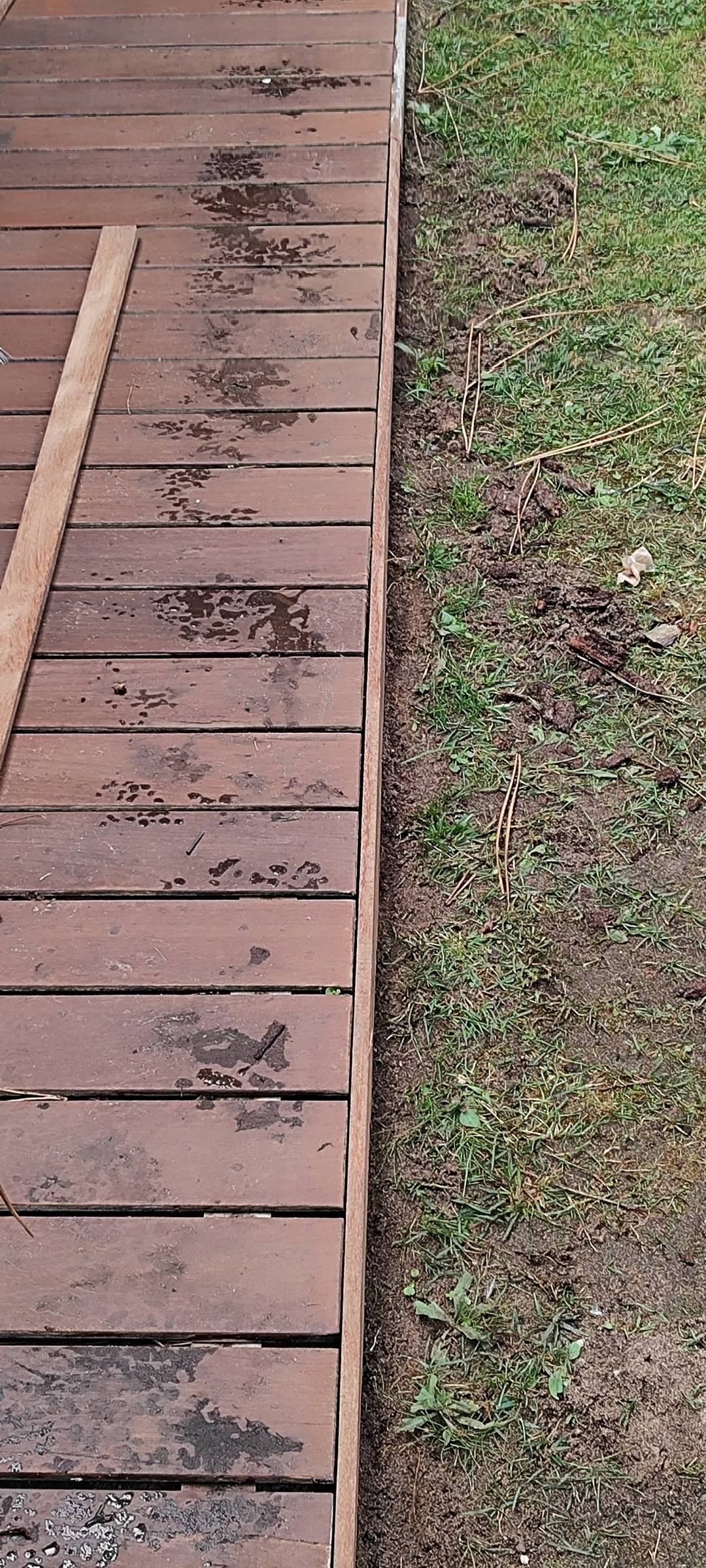 Lucas Torres - Seixal - Edição de Conteúdos