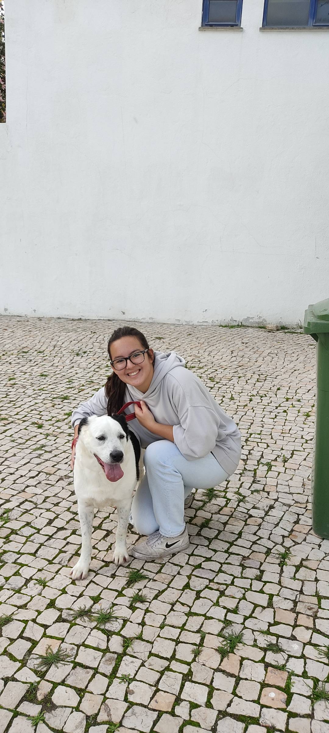 Bruna Dias - Palmela - Dog Walking