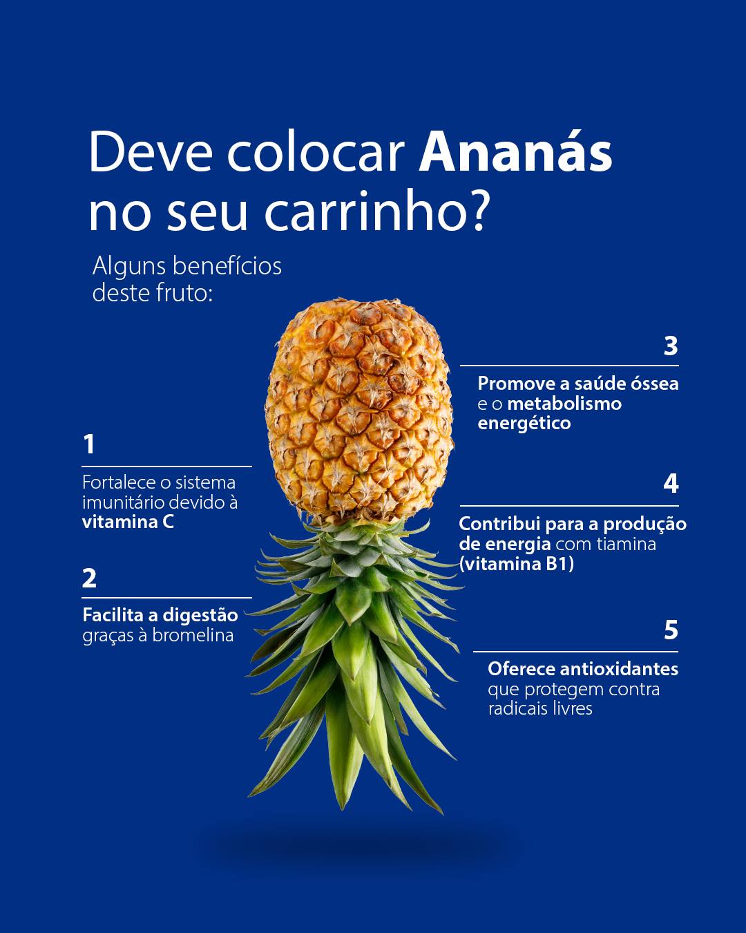 Inês Agostinho - Mafra - Consultoria de Estratégia de Marketing