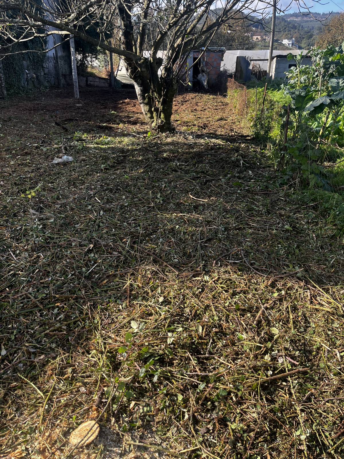 Filipe Vieira Jardim & Bricolage - Penafiel - Multi Service Lawn Care