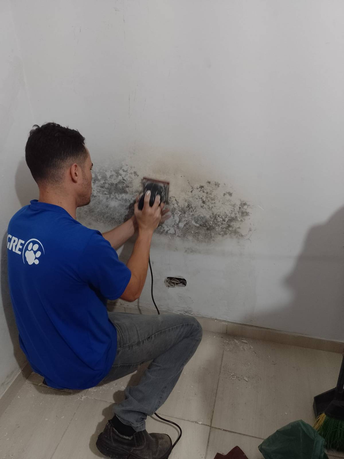 Moraes - Guarda - Carpet Installation