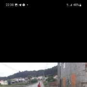 Paulo Silva - Santo Tirso - Tree Trimming and Maintenance