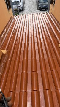 Jaspi Rope Access - Sintra - Mold Inspection and Removal