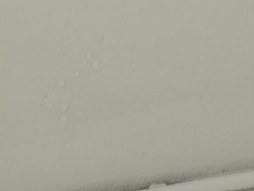 Reparación o mantenimiento de tejados