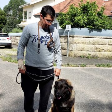 Ferraz - Porto - Dressage et modification du comportement animal (hors chiens)