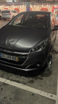 Car Painter