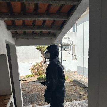 PRAGIS CONTROL - CONTROLO DE PRAGAS URBANAS - Almada - Nettoyage en profondeur