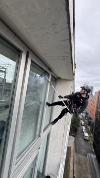 Jaspi Rope Access - Sintra - Mold Inspection and Removal